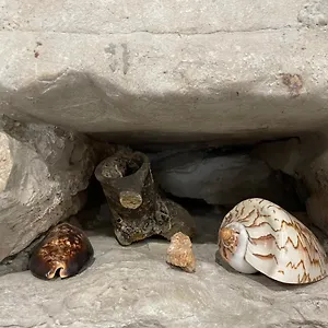  Appartement Pundinica